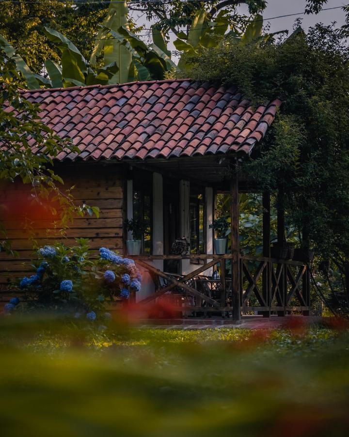 Menabde Winery Hotel Ozurget'i Buitenkant foto